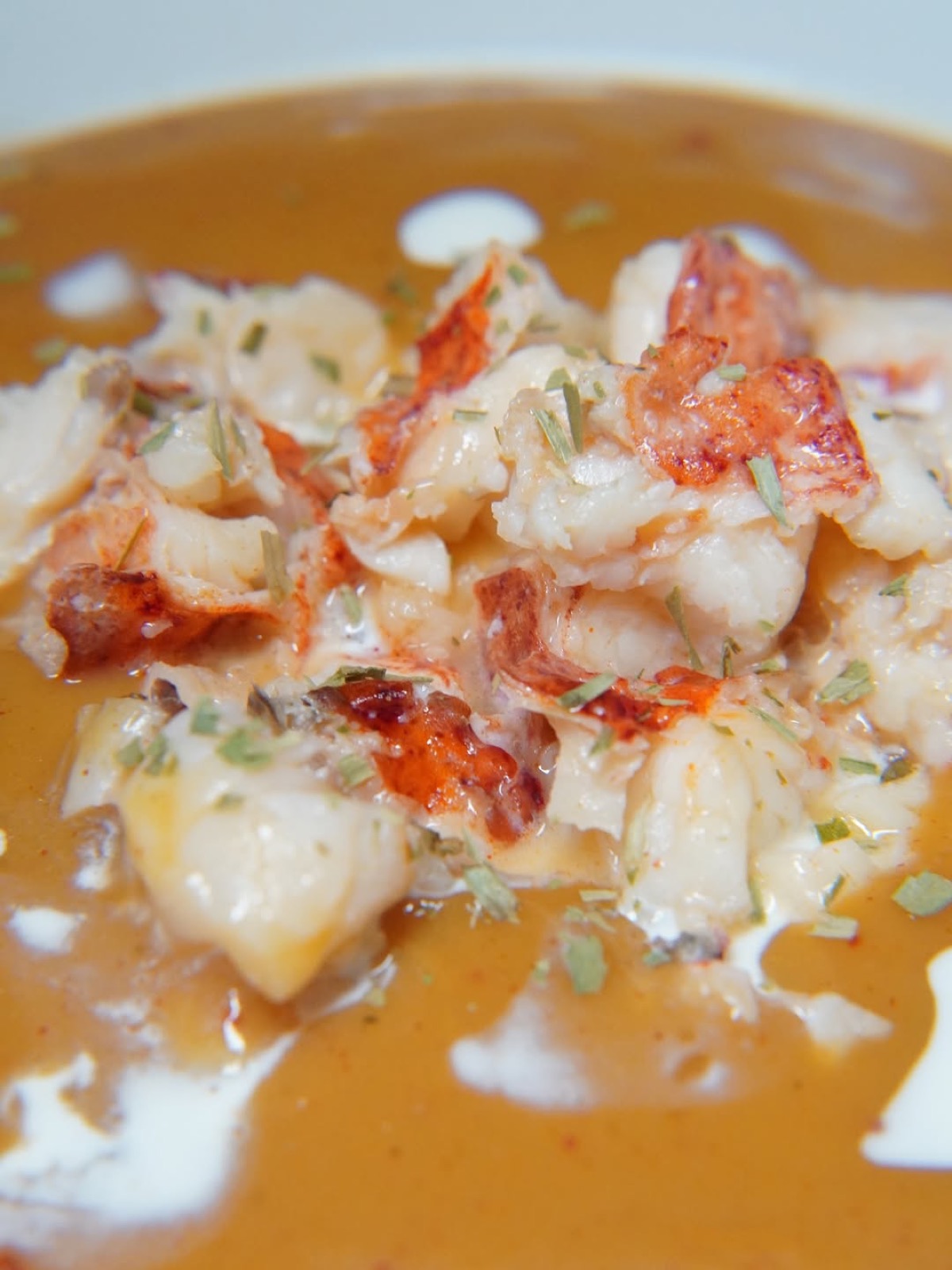Lobster bisque close-up